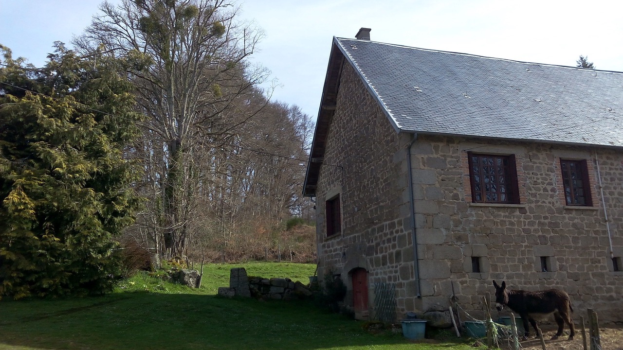 Photo of Outdoor in Saint-Oradoux-pres-Crocq