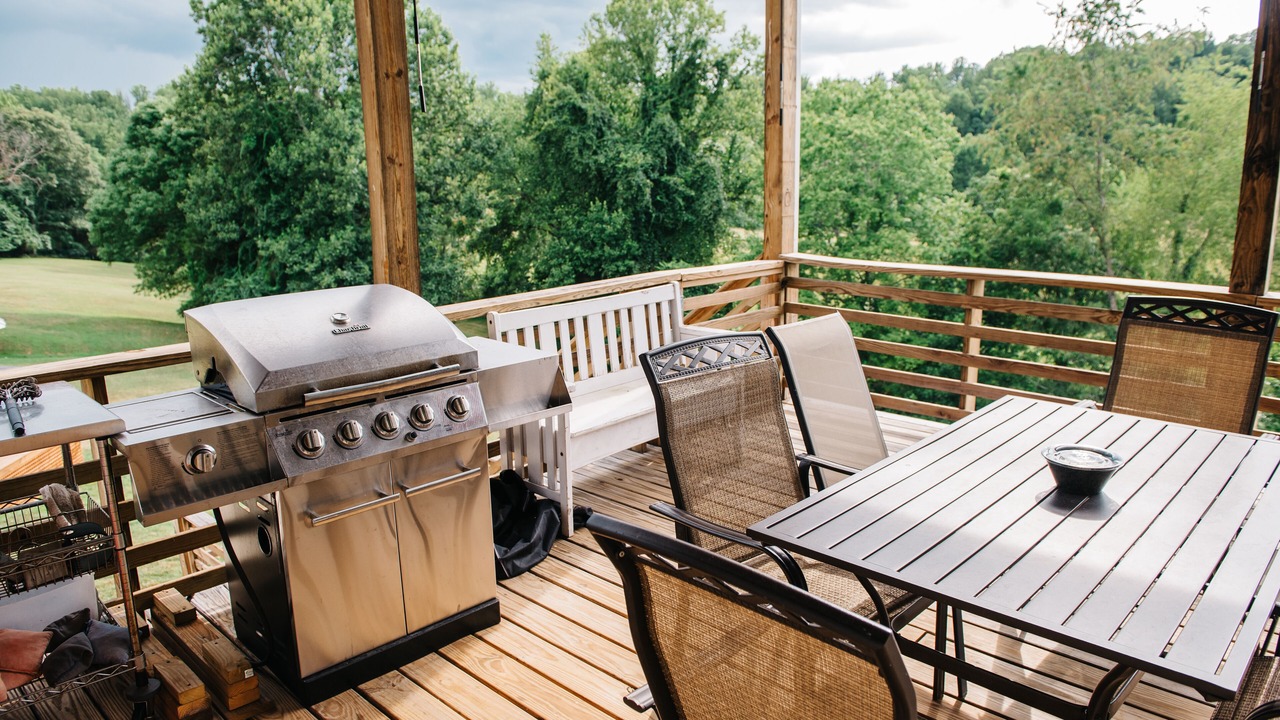 Photo of Outdoor in Forest