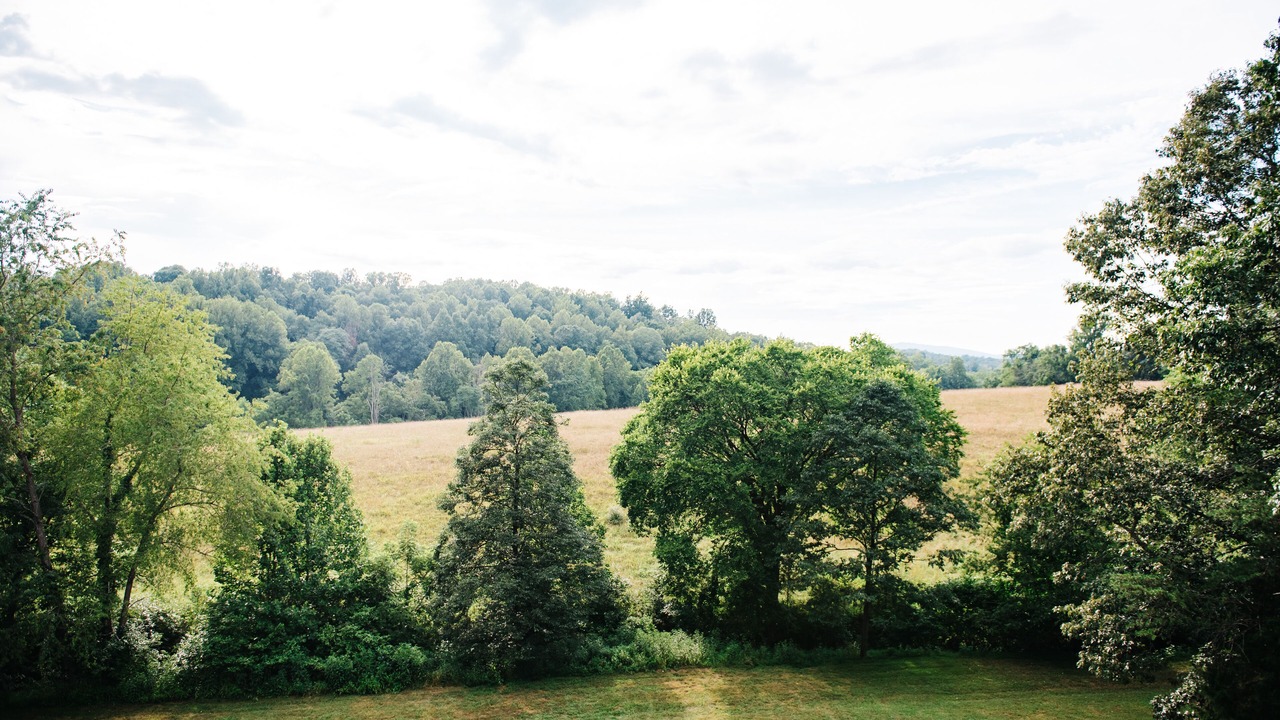 Photo of Outdoor in Forest