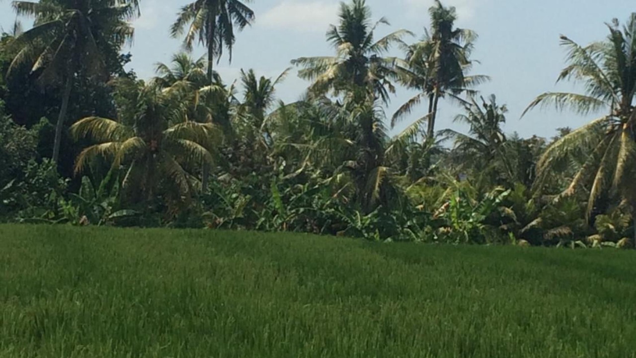 Photo of Outdoor in Kalaw