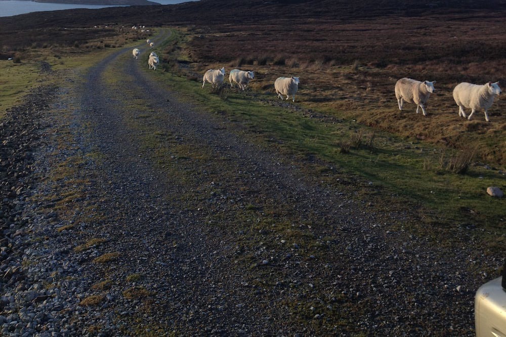 Photo of Outdoor in Ullapool