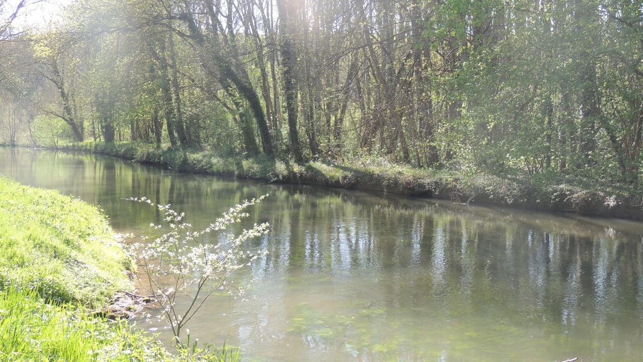 Photo of Outdoor in Chambon-sur-Cisse