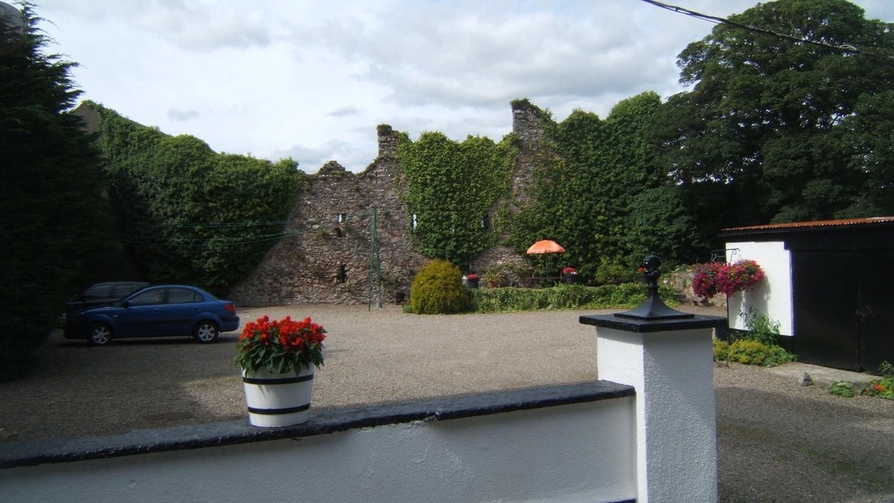 Photo of Others in Wexford