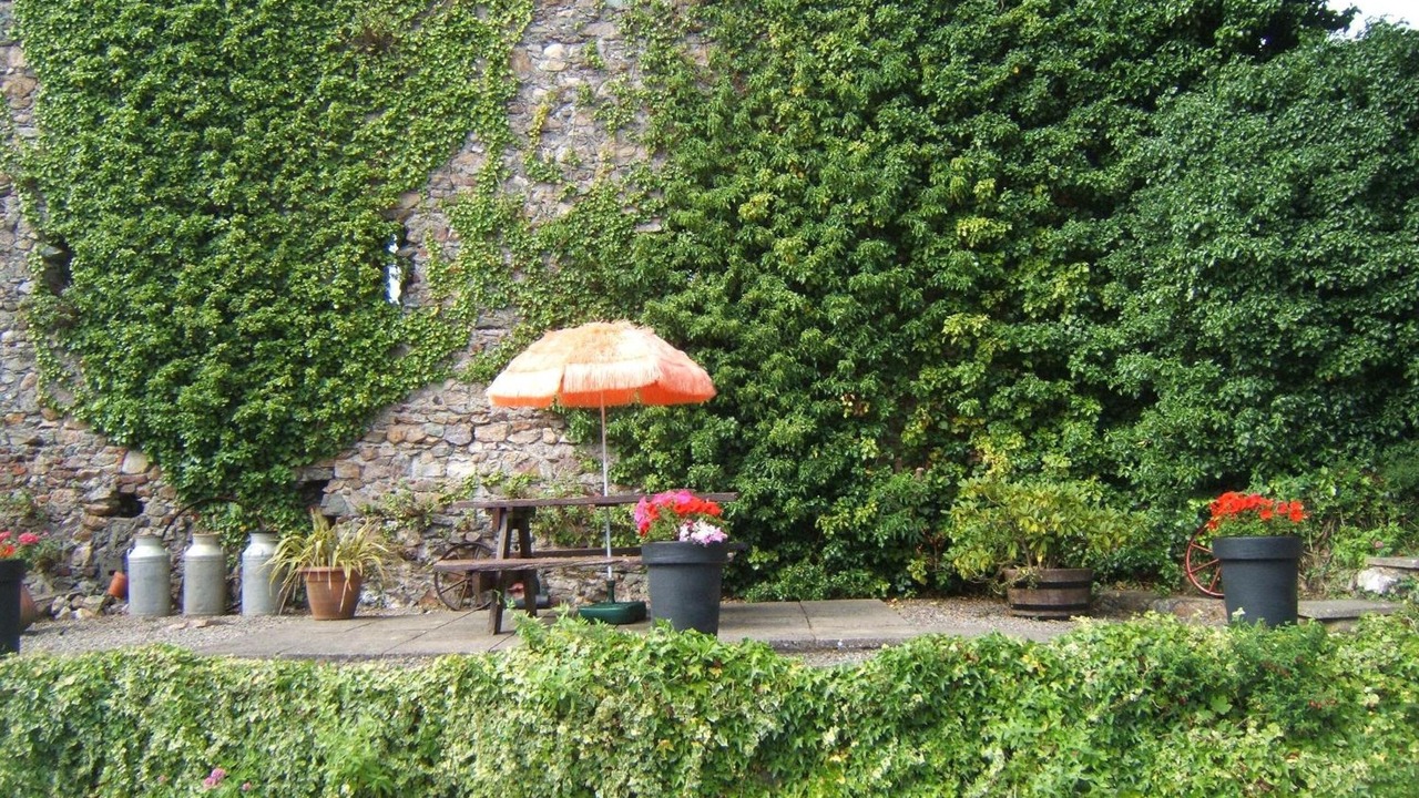 Photo of Outdoor in Wexford