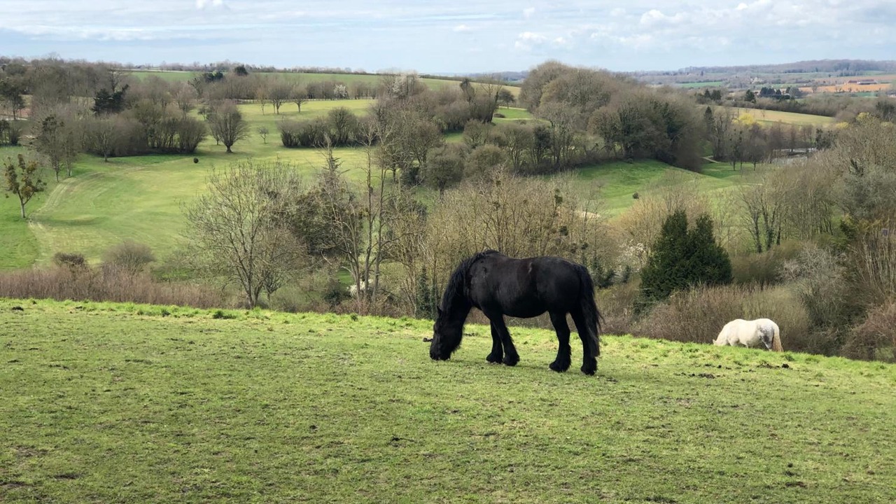 Photo of Outdoor in Nogent-le-Rotrou