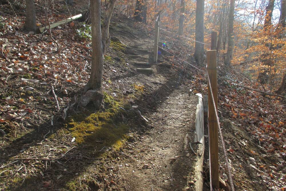 Photo of Outdoor in Pittsville