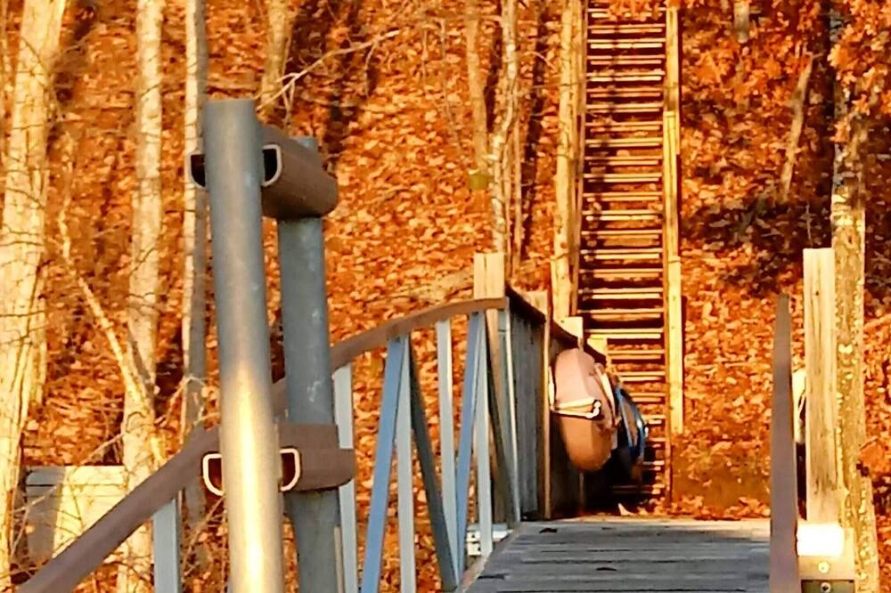 Photo of Others in Pittsville