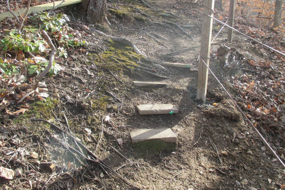 Photo of Outdoor in Pittsville
