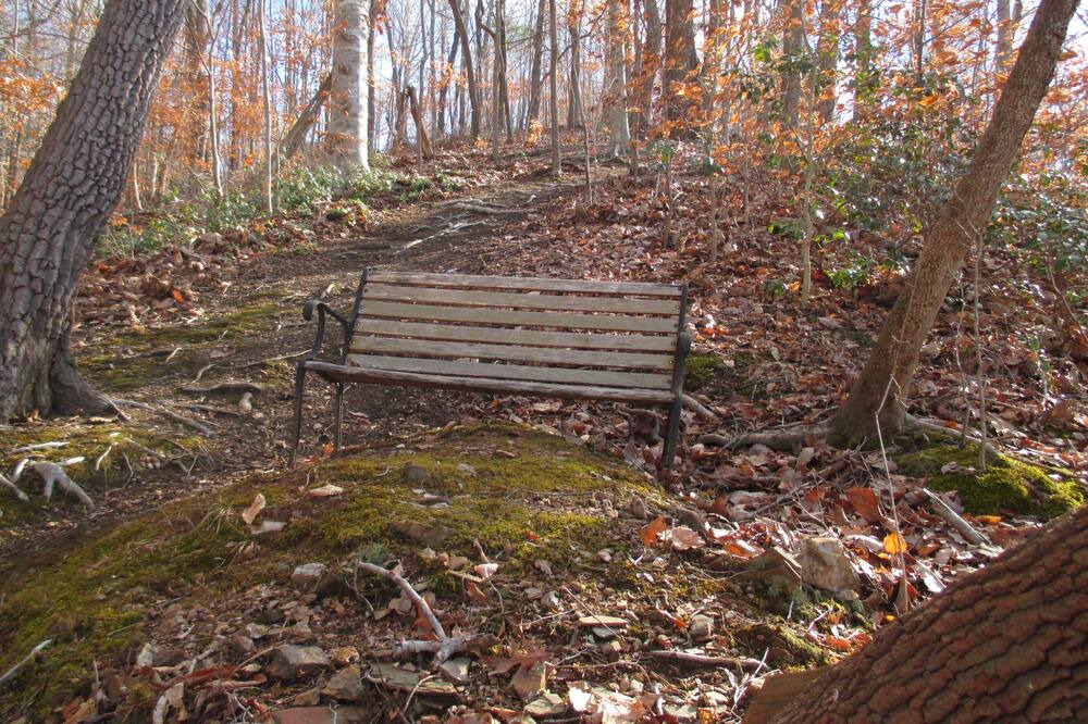 Photo of Outdoor in Pittsville