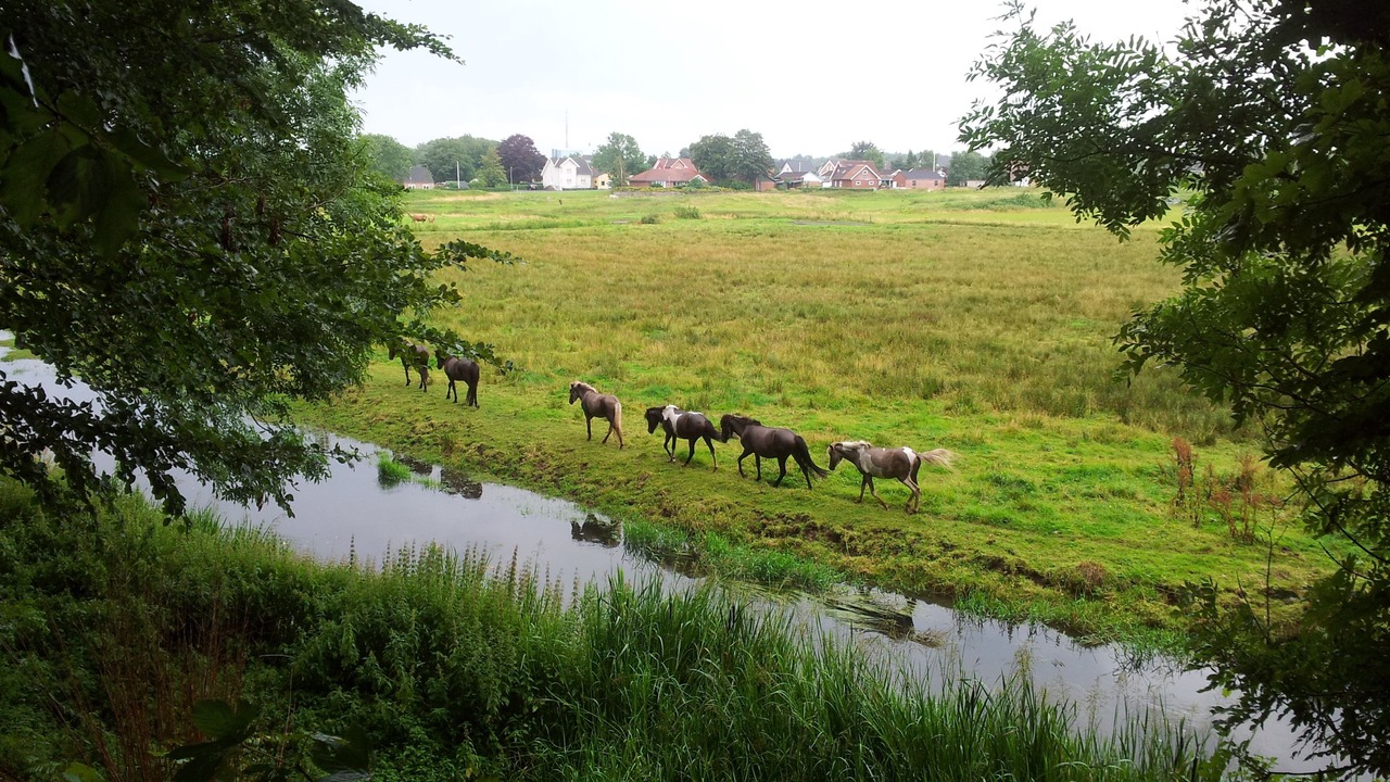 Photo of Others in Gording