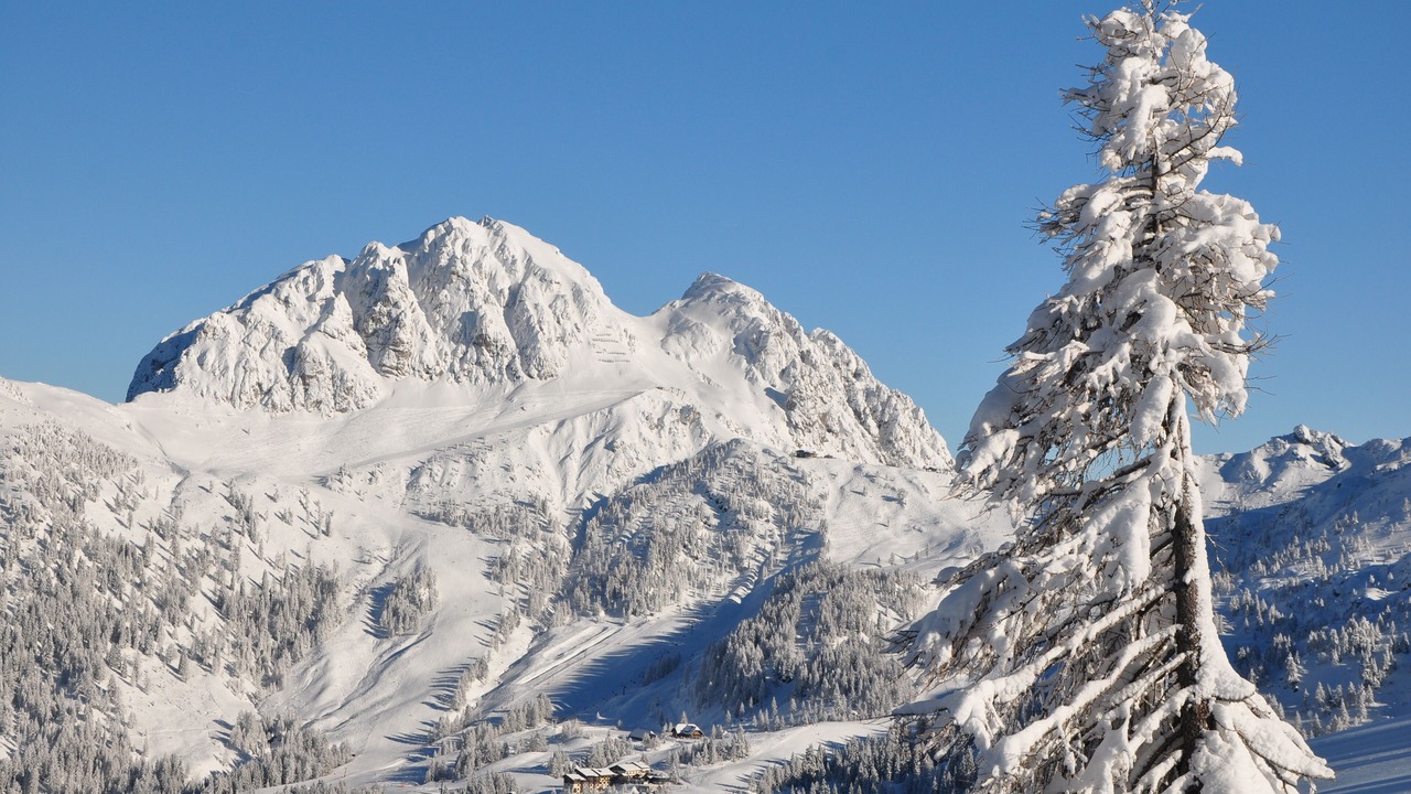 Photo of Others in Passo Pramollo