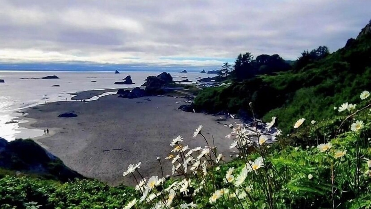 Photo of Outdoor in Brookings