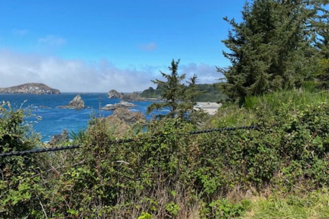 Photo of Outdoor in Brookings