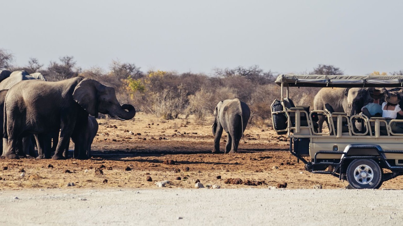 Photo of Others in Tsumeb