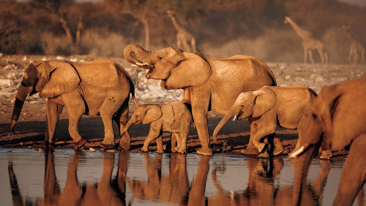 Photo of Others in Tsumeb