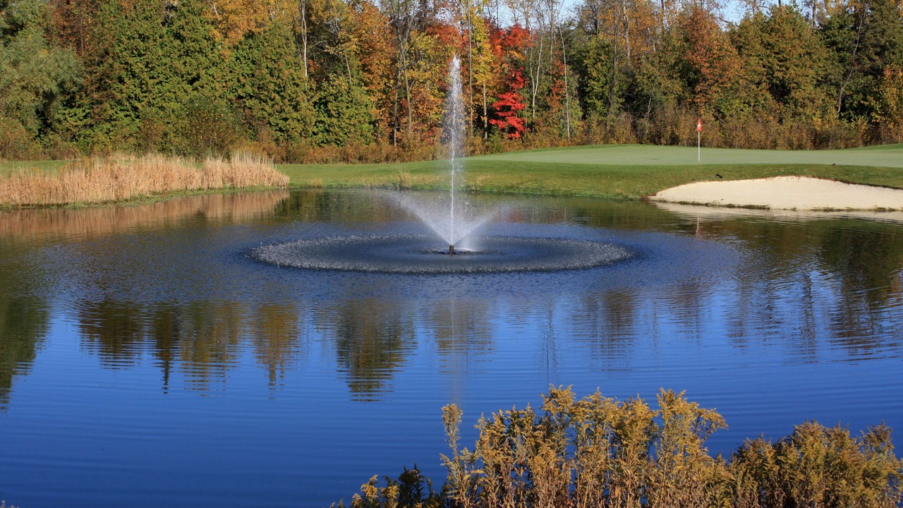 Photo of Others in Barrie