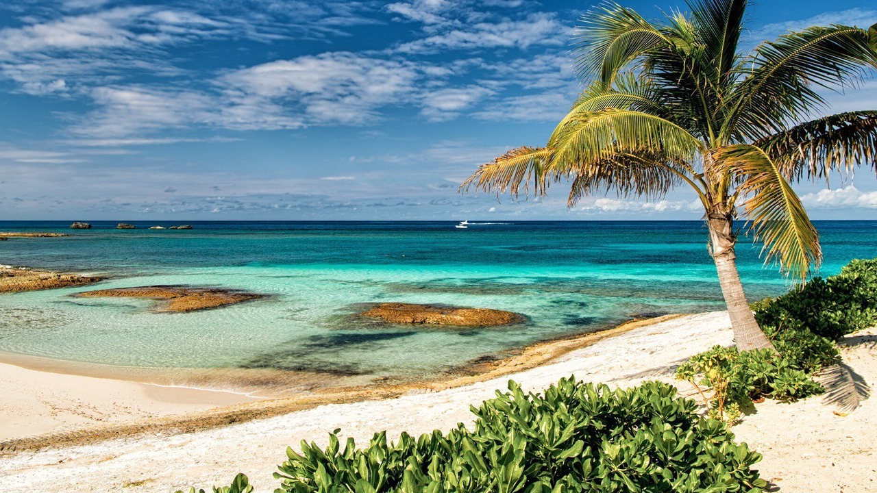 Photo of Others in Great Harbour Cay