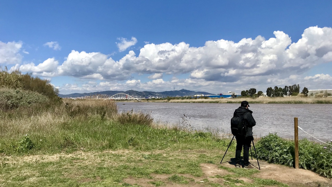 Photo of Outdoor in El Prat de Llobregat