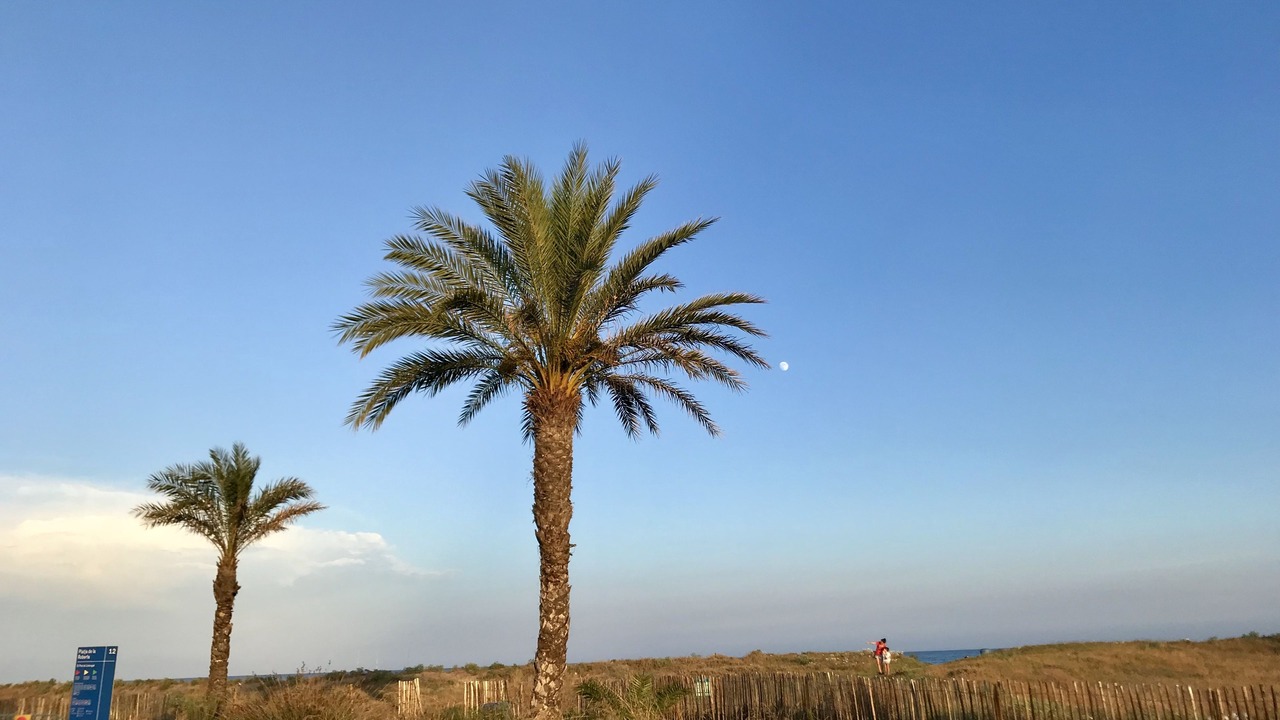 Photo of Others in El Prat de Llobregat