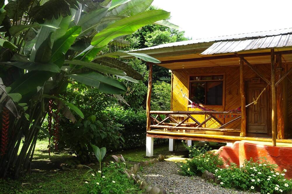 Photo of Outdoor in Misahualli