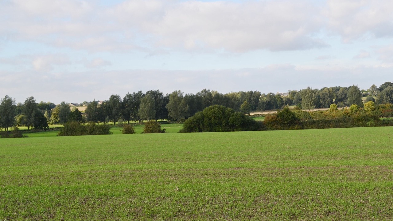 Photo of Outdoor in Beckingham