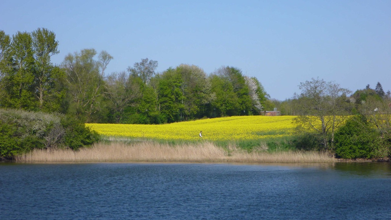 Photo of Outdoor in Ruckeberg