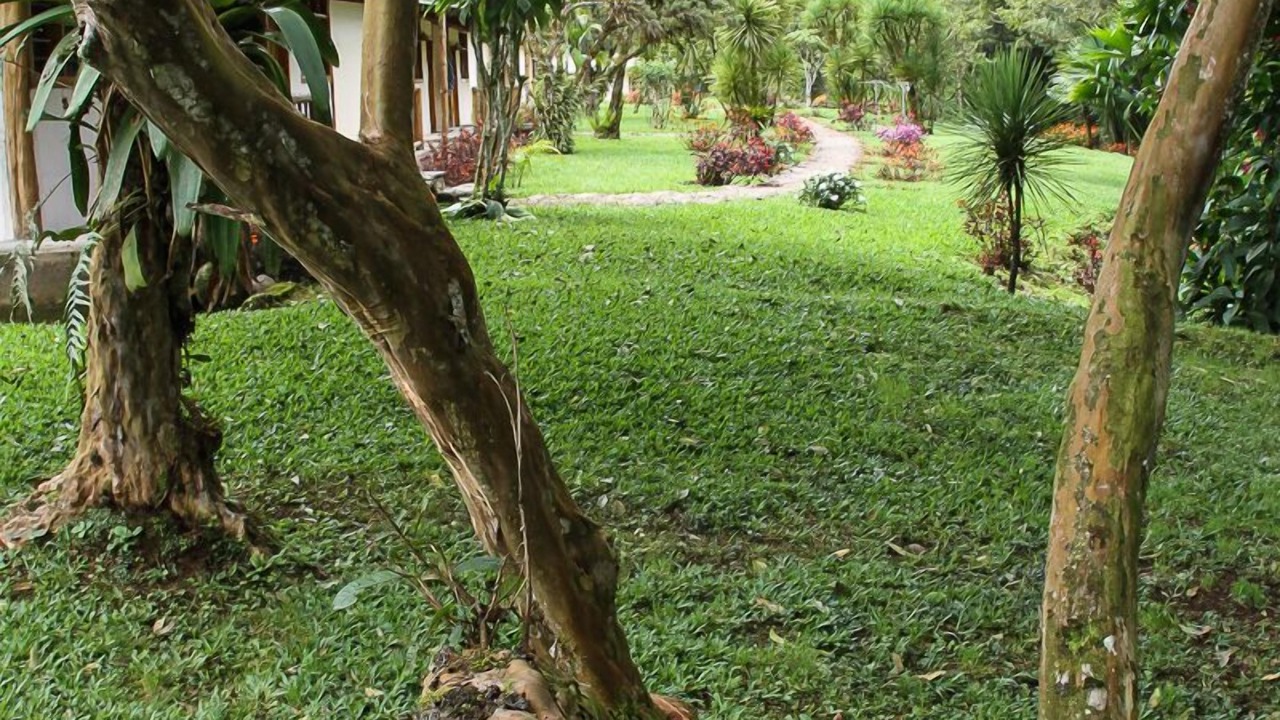 Photo of Outdoor in San Francisco de Borja
