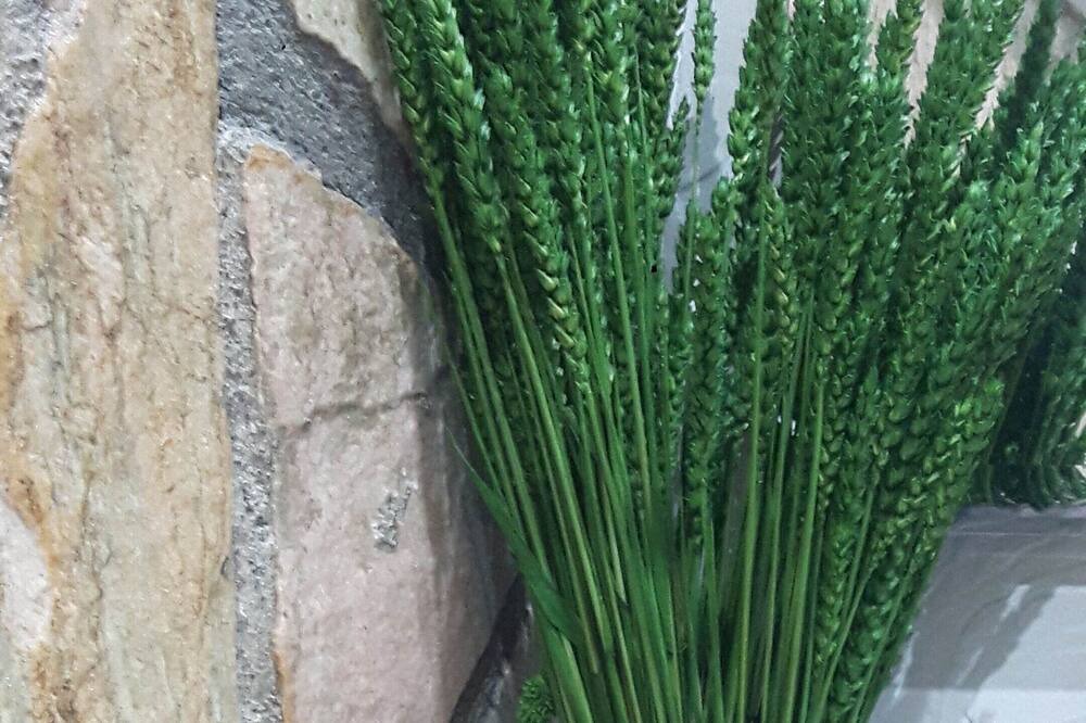 Photo of Outdoor in El Prat de Llobregat