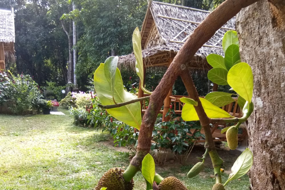 Photo of Others in Ko Kood