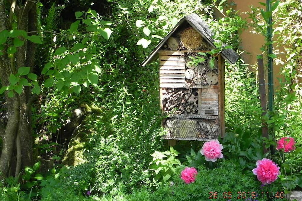 Photo of Outdoor in Hagenthal-le-Bas