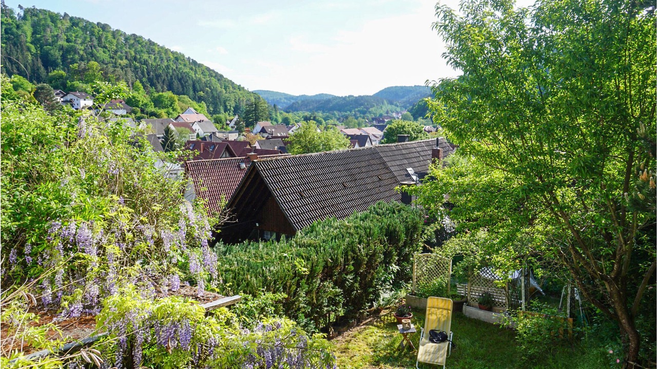 Photo of Outdoor in Hinterweidenthal