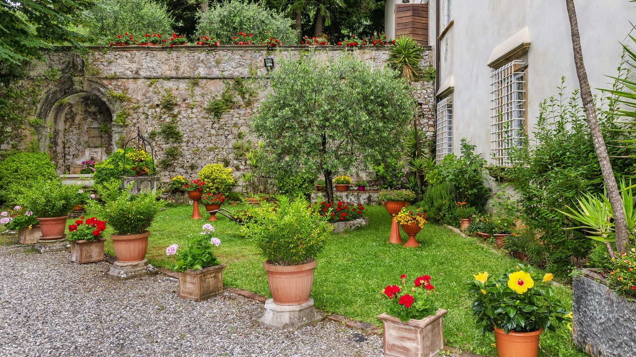 Photo of Outdoor in Arliano