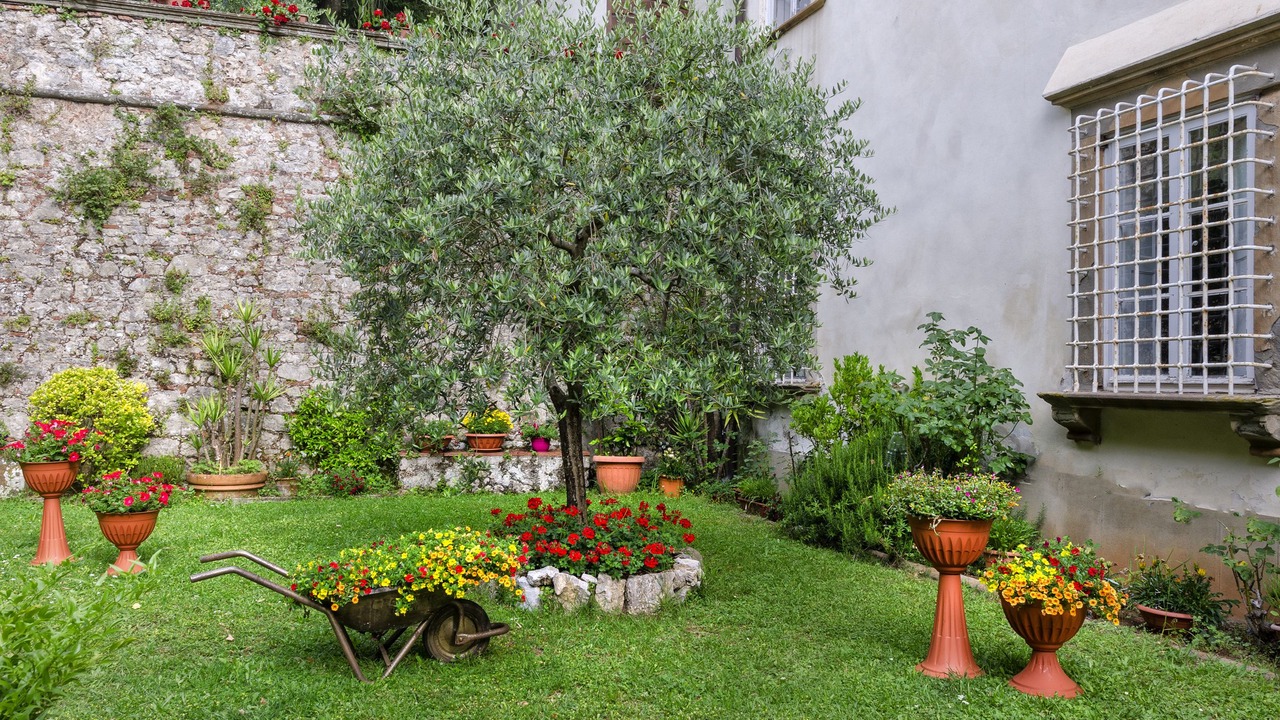 Photo of Outdoor in Arliano