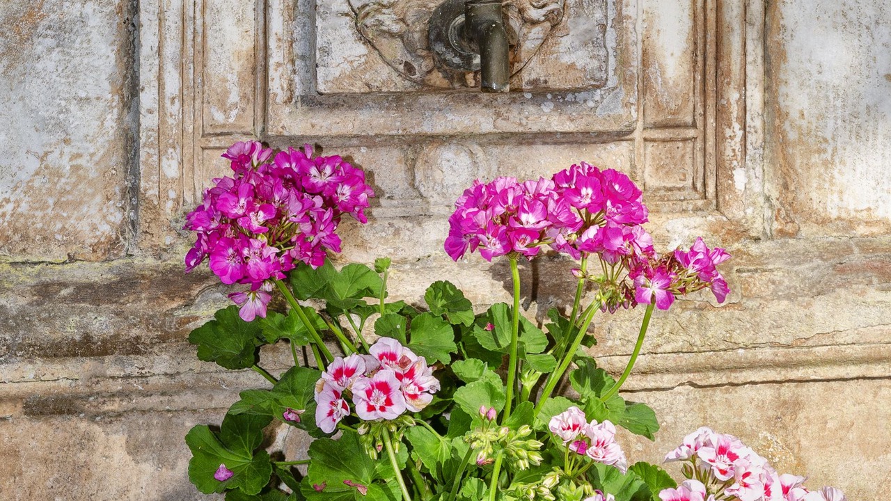 Photo of Outdoor in Arliano
