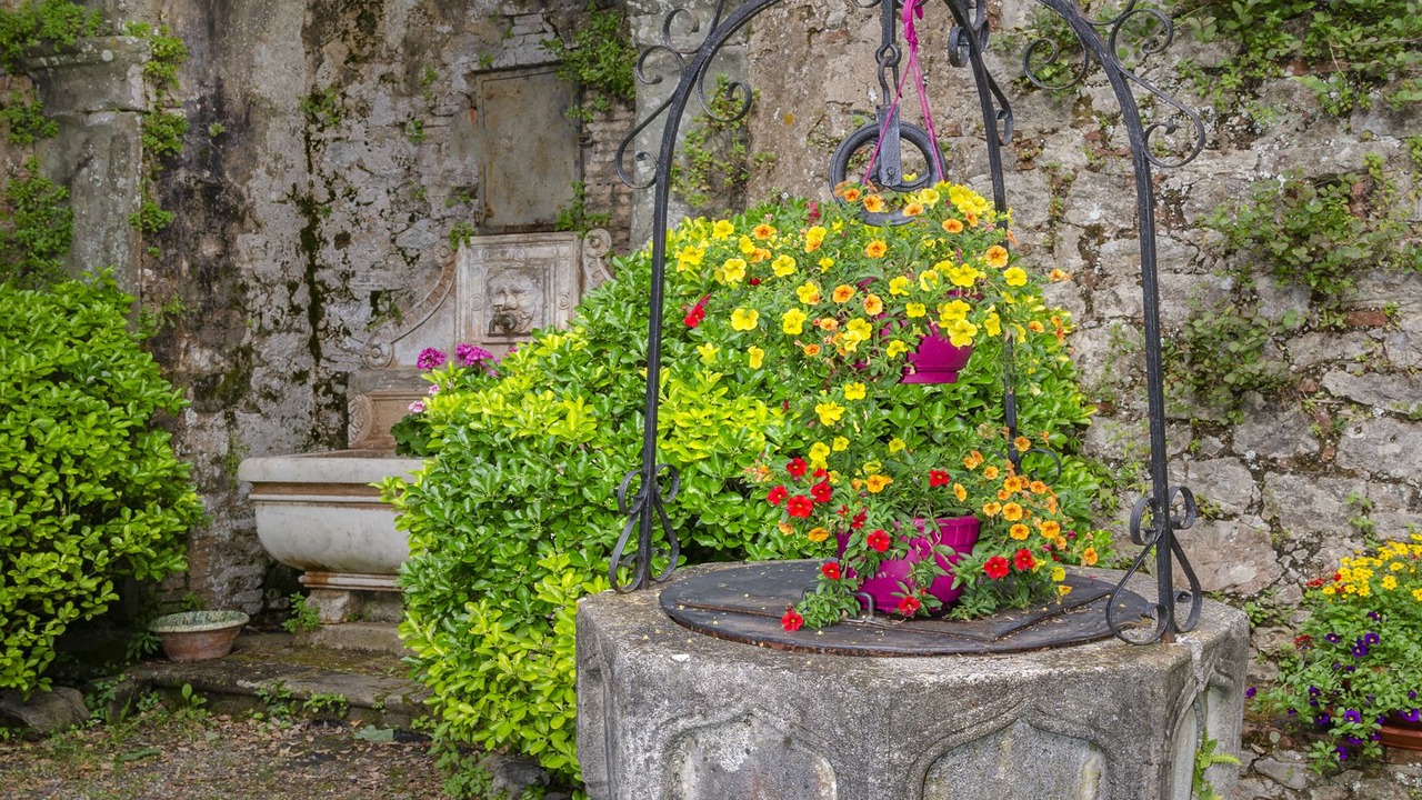 Photo of Outdoor in Arliano