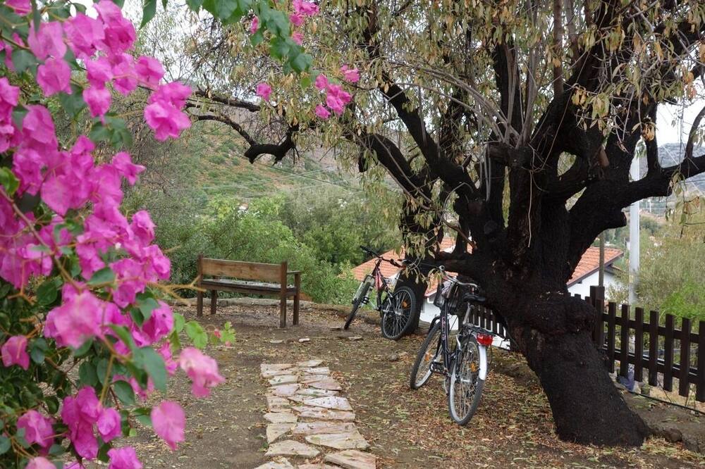 Photo of Outdoor in Selimiye