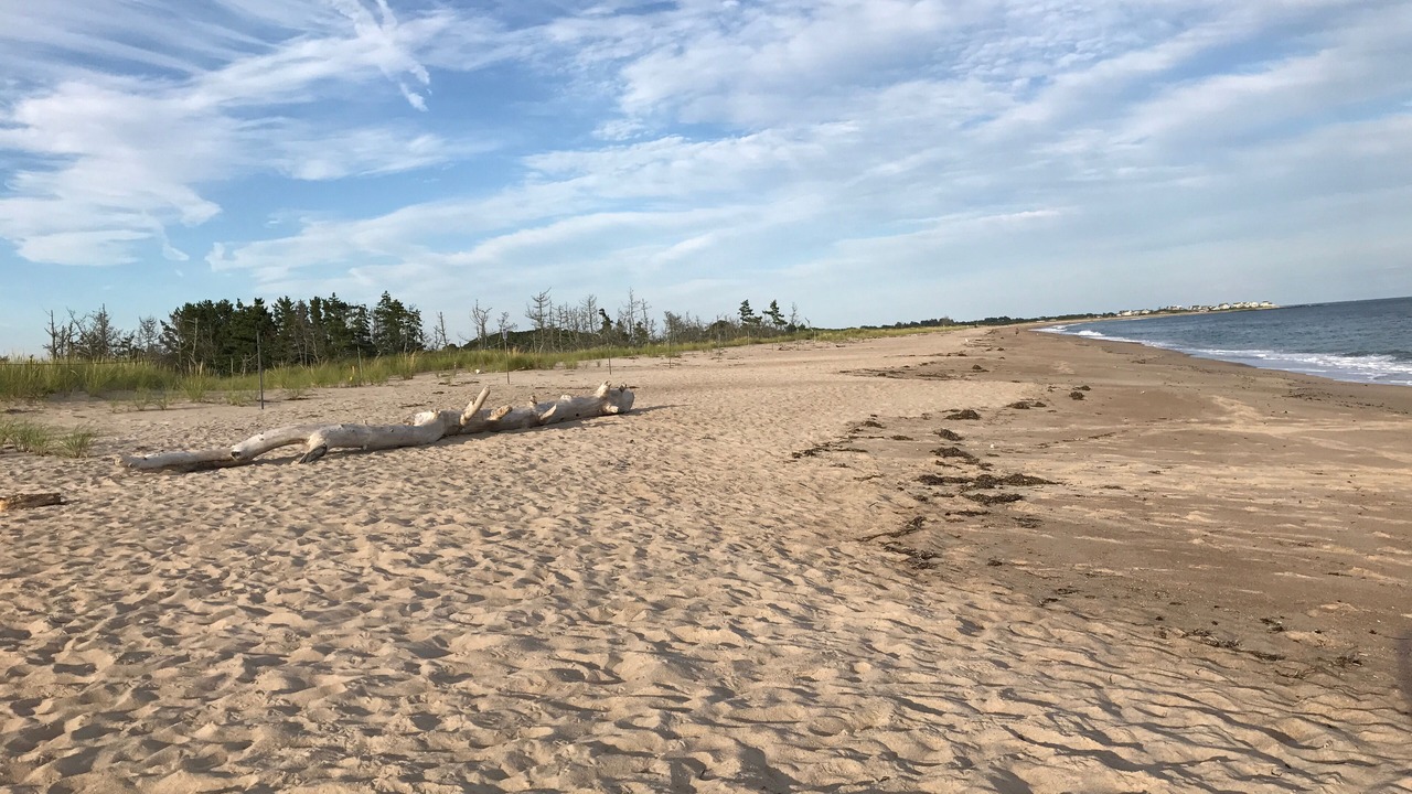 Photo of Others in Westerly