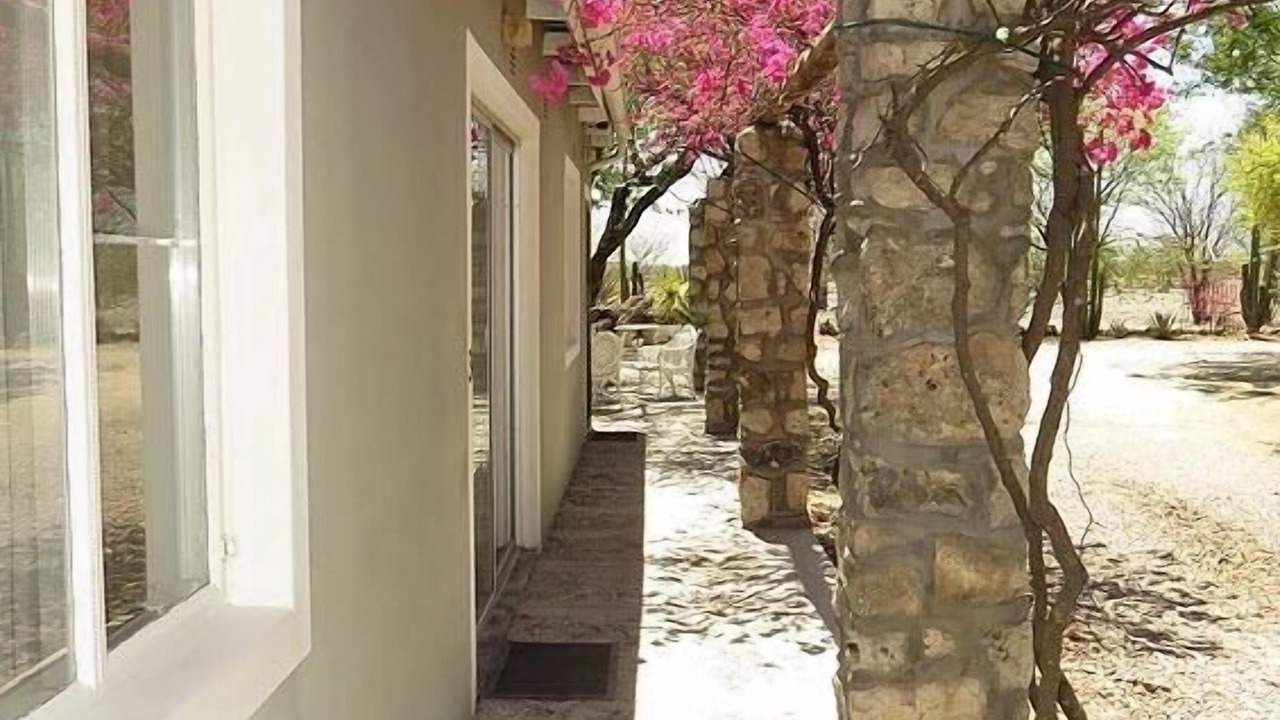 Photo of Outdoor in Okaukuejo