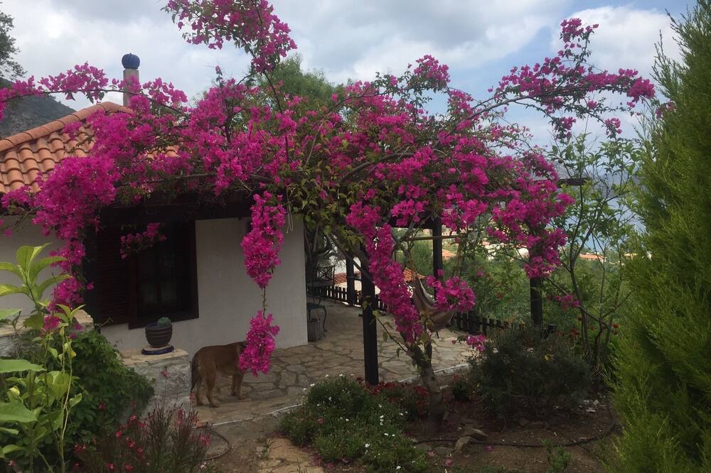 Photo of Outdoor in Selimiye