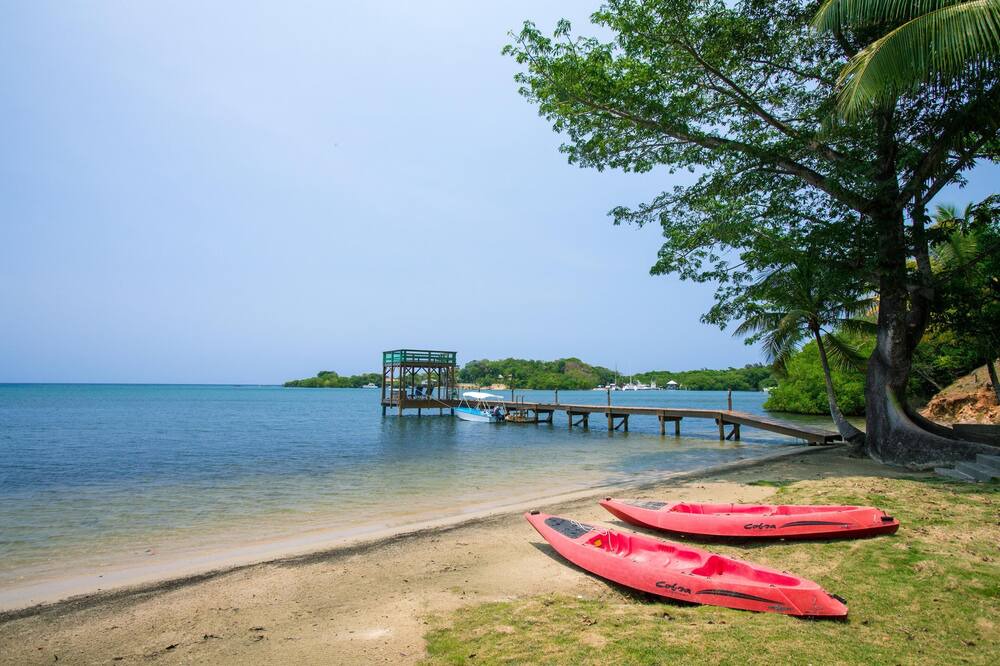 Photo of Others in Gibson Bight