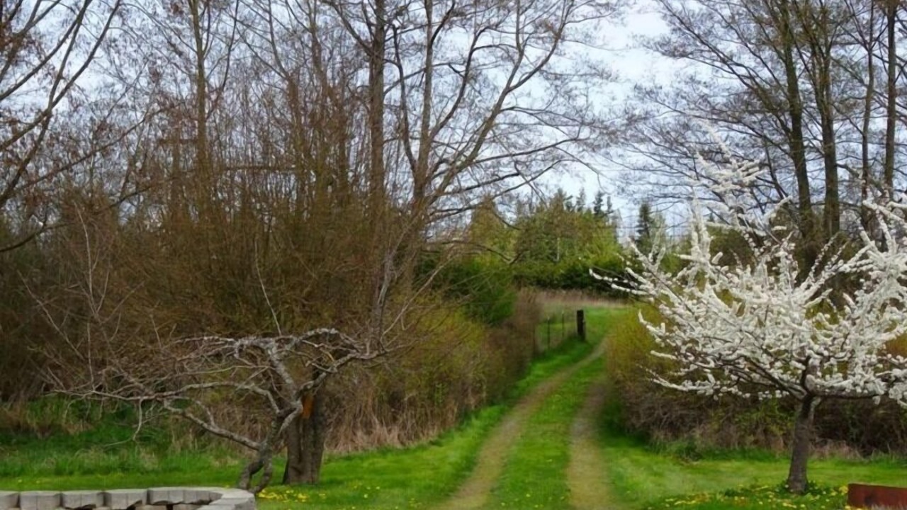 Photo of Outdoor in Sequim