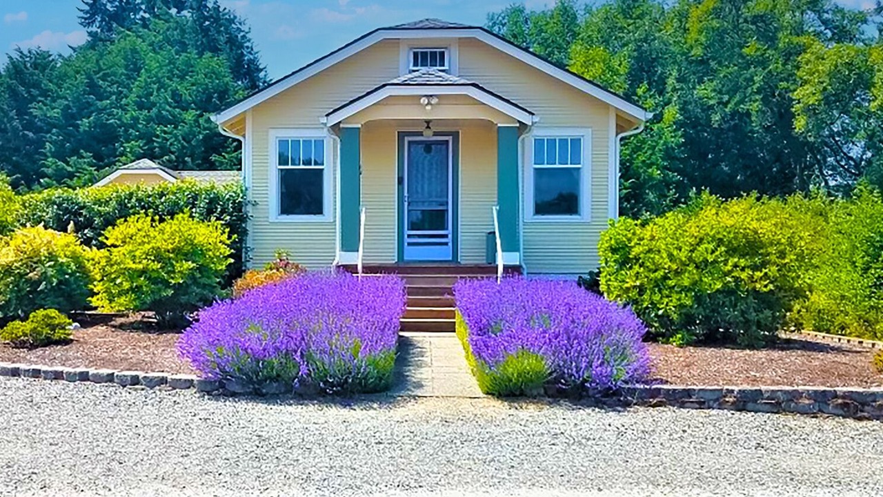 Photo of Outdoor in Sequim