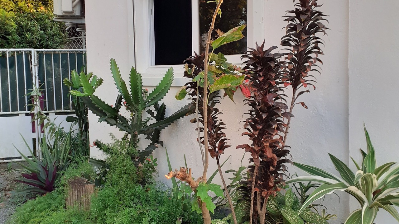 Photo of Outdoor in Destrellan