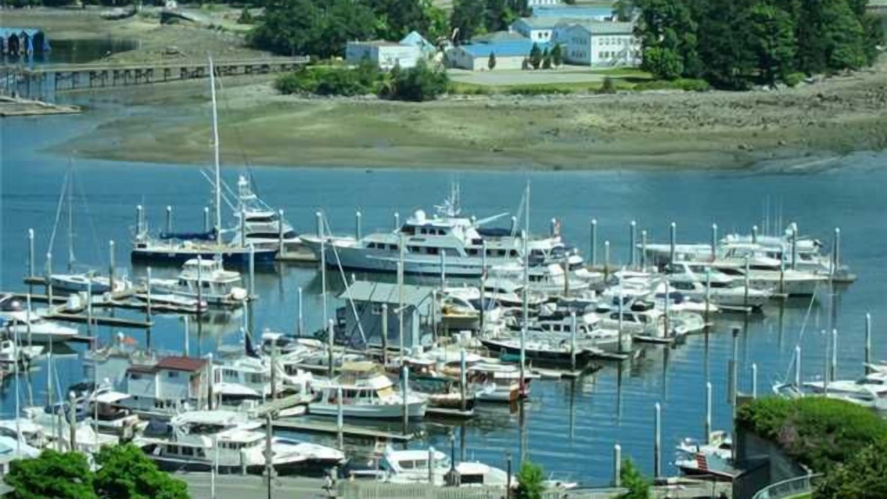 Photo of Others in Coal Harbour