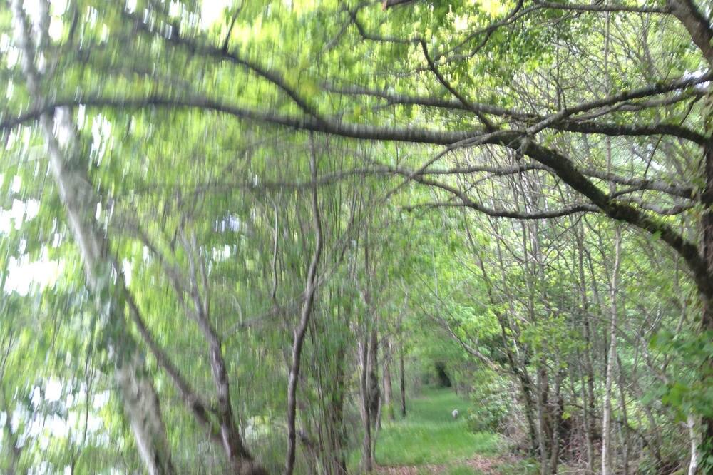 Photo of Outdoor in Ladignac le Long