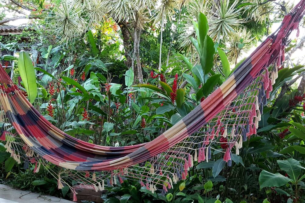 Photo of Outdoor in Feiticeira