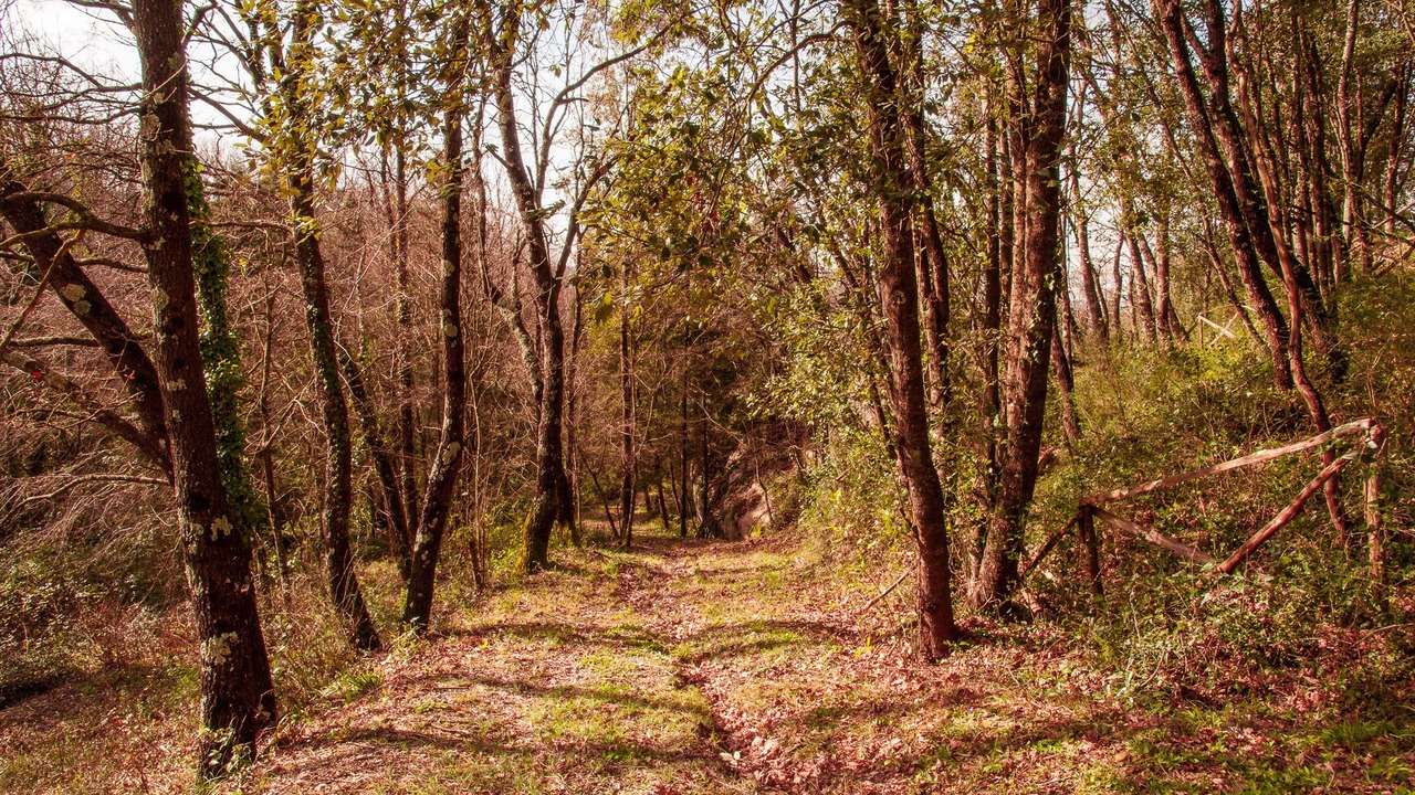 Photo of Outdoor in Frasso Telesino