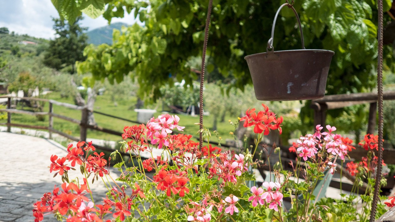 Photo of Outdoor in Frasso Telesino