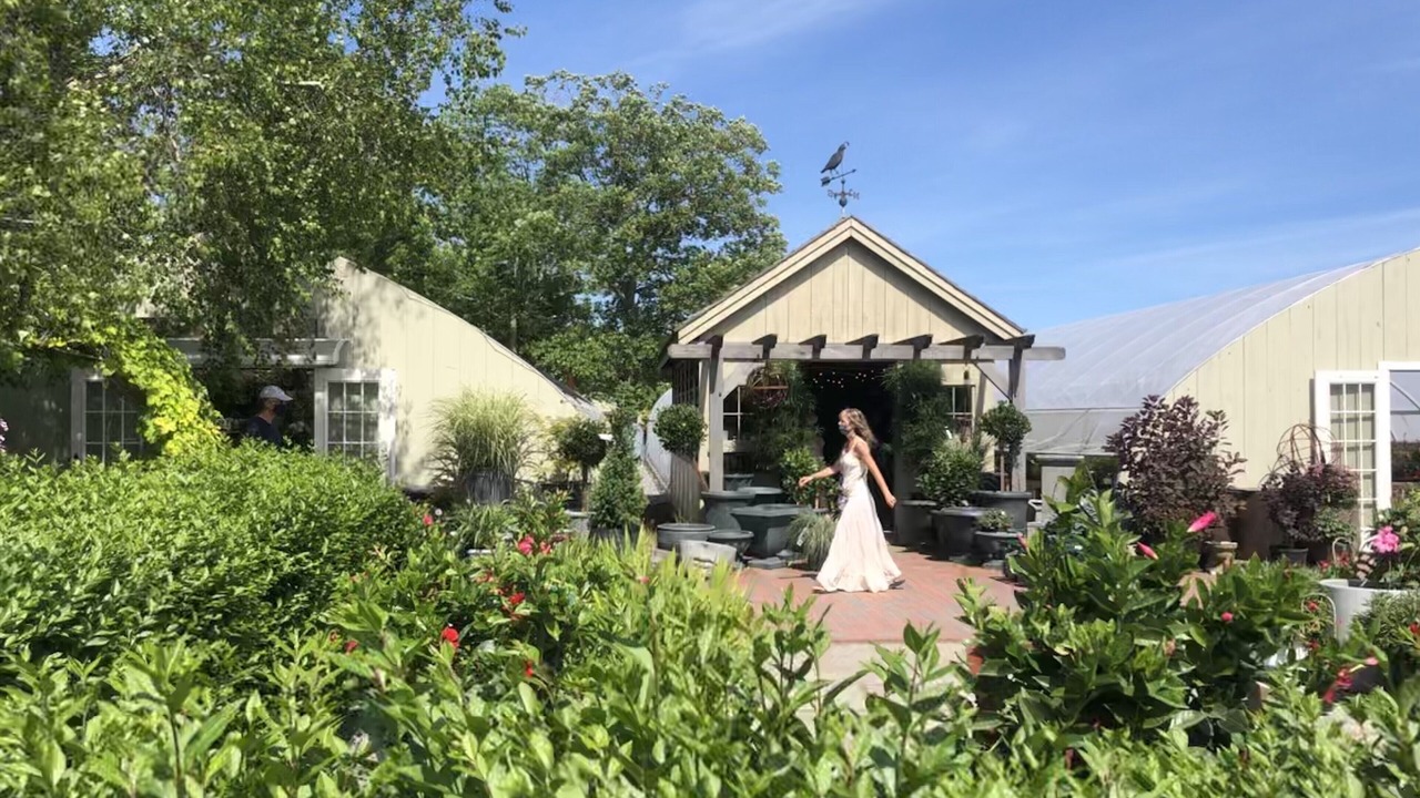 Photo of Outdoor in Kingston