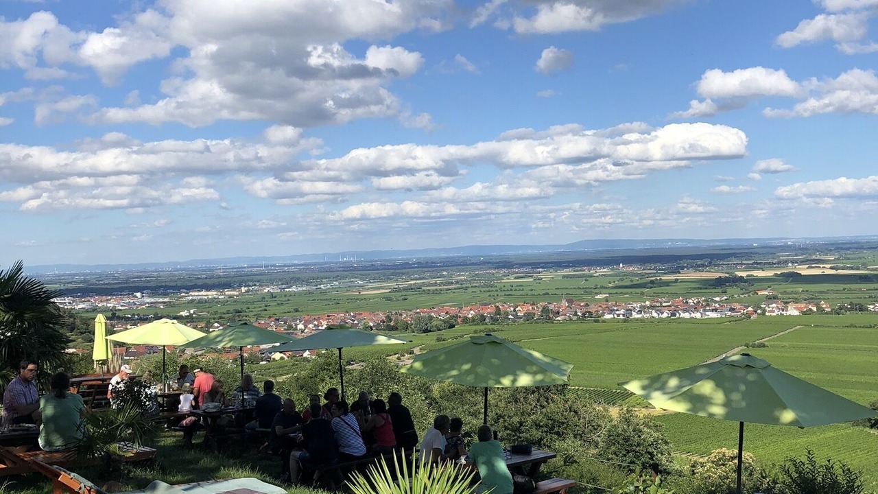 Photo of Outdoor in Rhodt unter Rietburg
